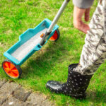 Müşteri Yorumlarına Göre Genel Olarak En İyi Çim Gübre Markası