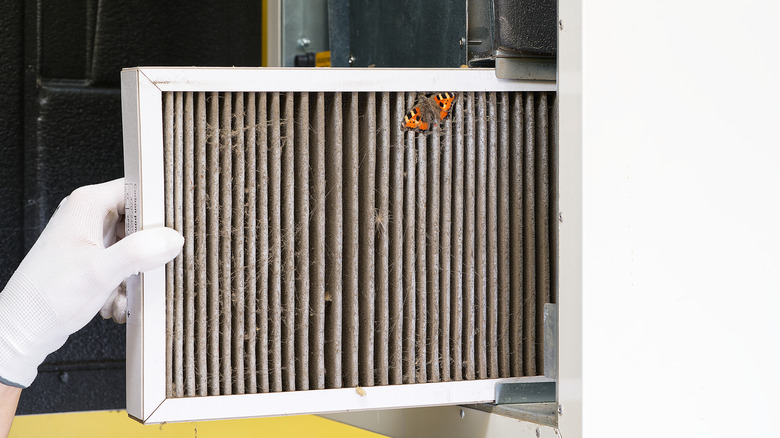 Beyaz eldivenli el kirli HVAC filtresini çıkarıyor