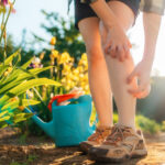 Bahçenizde Olmasını İstediğiniz Ağrılı Isırıklı Sinir bozucu Böcek