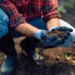 Ekimden Önce Toprağınızı Test Etmenin İki Basit Yolu