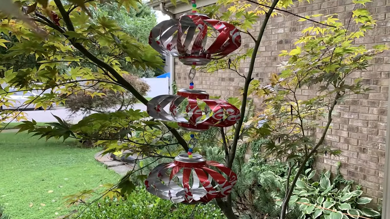 Ağaca dizilmiş soda kutularından yapılan iplikçiler