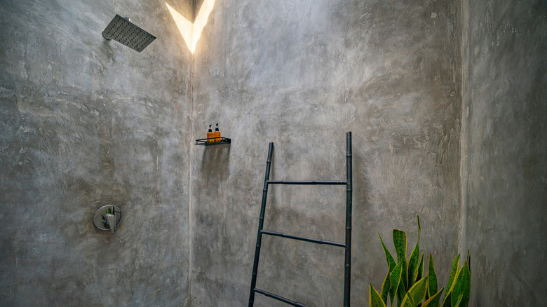 Duvarları cilalı betonla kaplı modern lüks banyo. Paslanmaz çelik duşlu ve tropikal dekoratif bitkili duş
