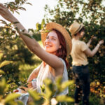 Lezzetli Bir Hasat İçin Kışın Ekebileceğiniz Lezzetli Meyveler Yaz Gelsin
