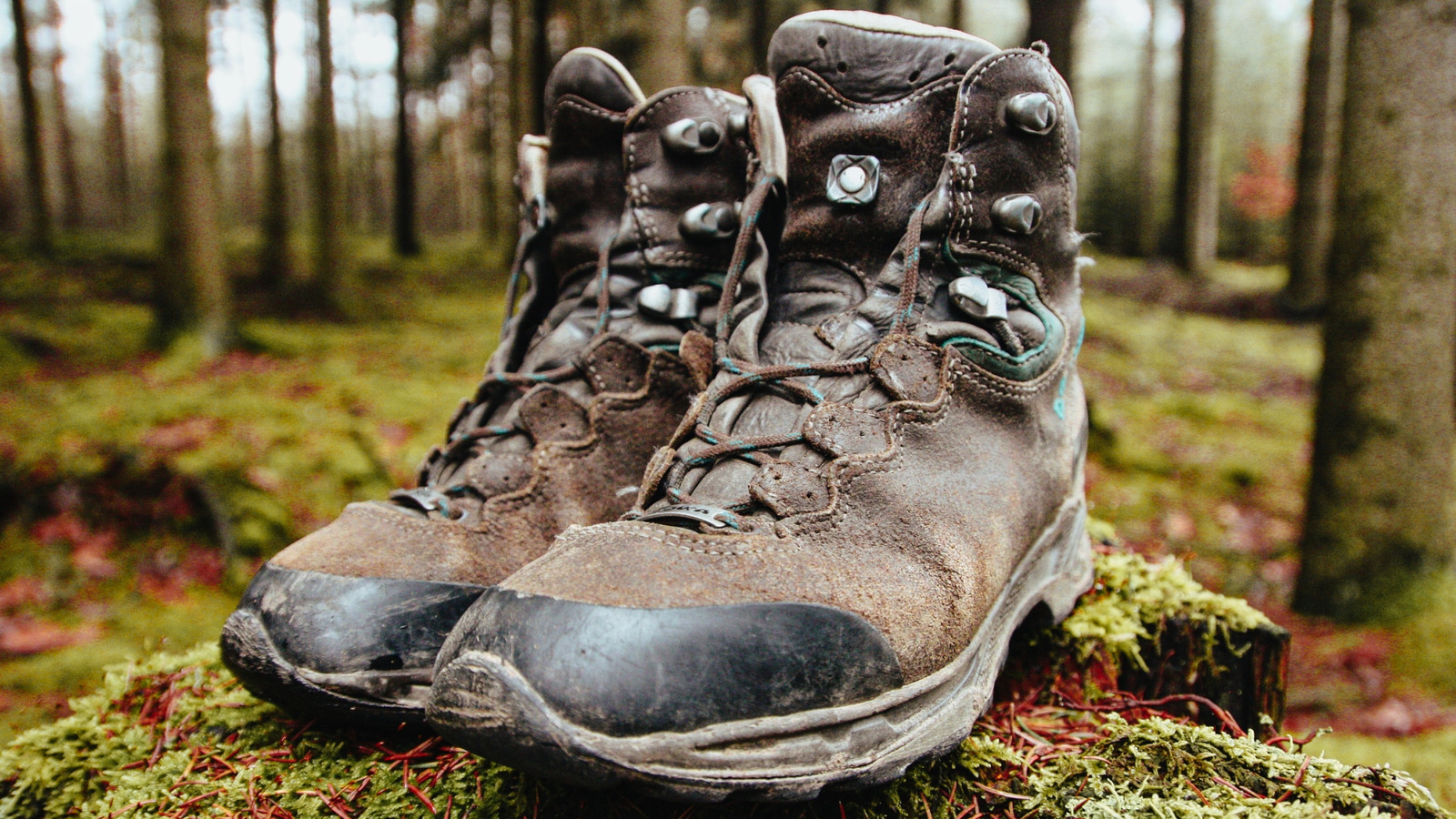 Eski Ayakkabıları Atmayın - Bunları Ağırlıklı Kapı Durdurucu Olarak Kullanın