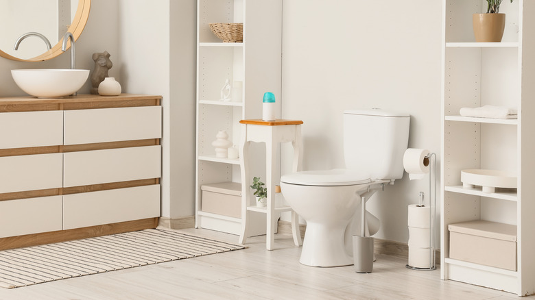 Dekore edilmiş banyoda tuvaletin yanında bağımsız tuvalet kağıdı tutucusu