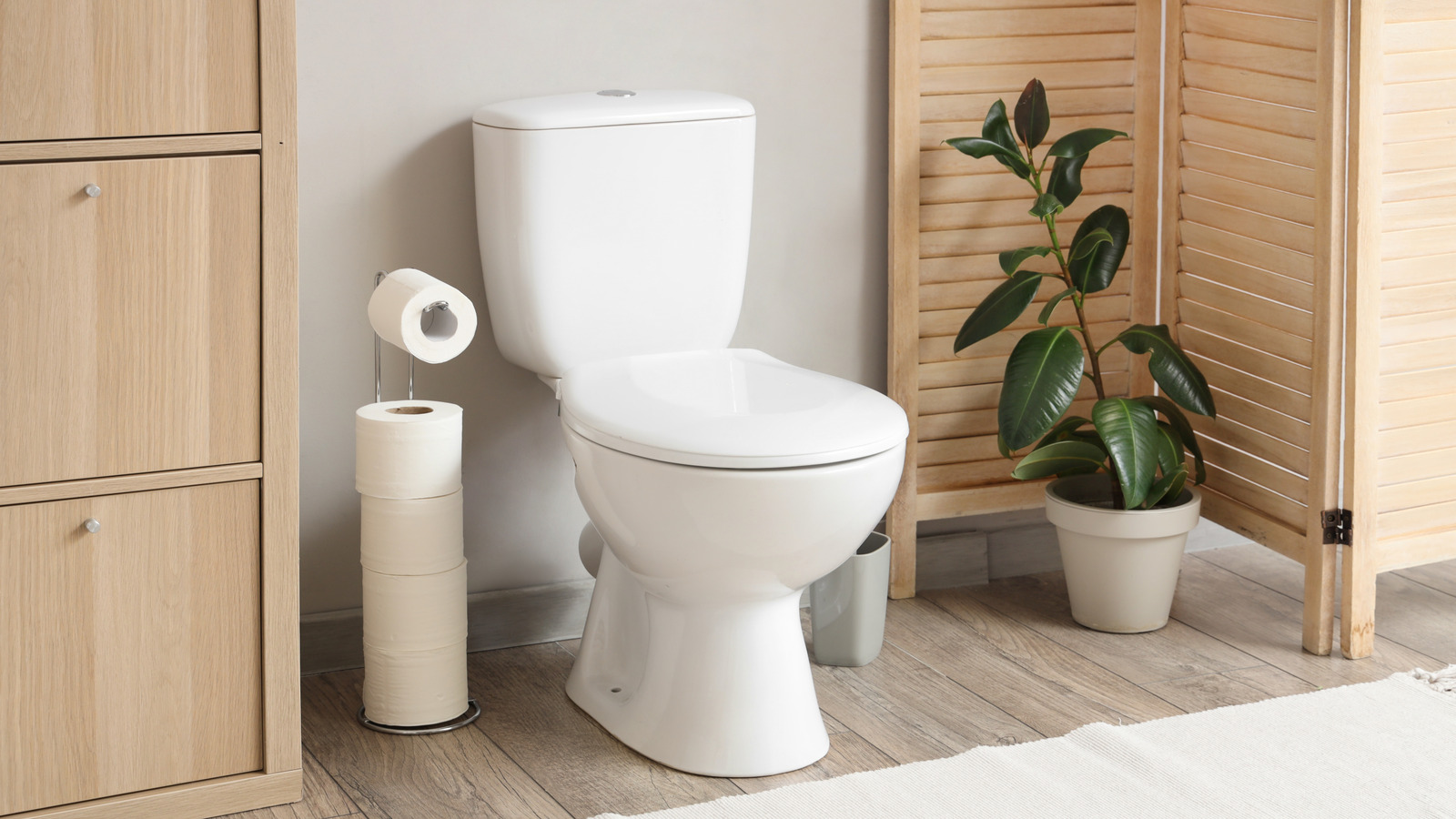 Banyonuz İçin Mükemmel Olabilecek 12 Tip Tuvalet Kağıdı Tutucusu