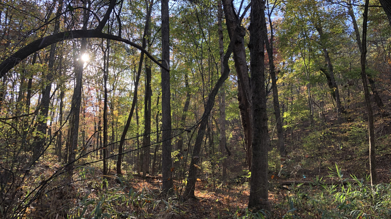 Bahçenizde Bulunan Bir Eşyayı Kullanarak Evinize Taze Bir Tatil Kokusu Verin