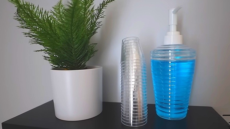 Saksı bitkisinin yanındaki gargara ve shot bardağı istasyonu