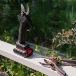 Daha Sağlıklı ve Daha Lezzetli Sonuçlar İçin Aralık Ayında Budamanız Gereken Popüler Meyve Ağacı