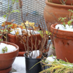 Dış Mekan Ekicilerinizi Kış Aylarında Yalıtımlı Tutabilecek 8 Ortak Öğe