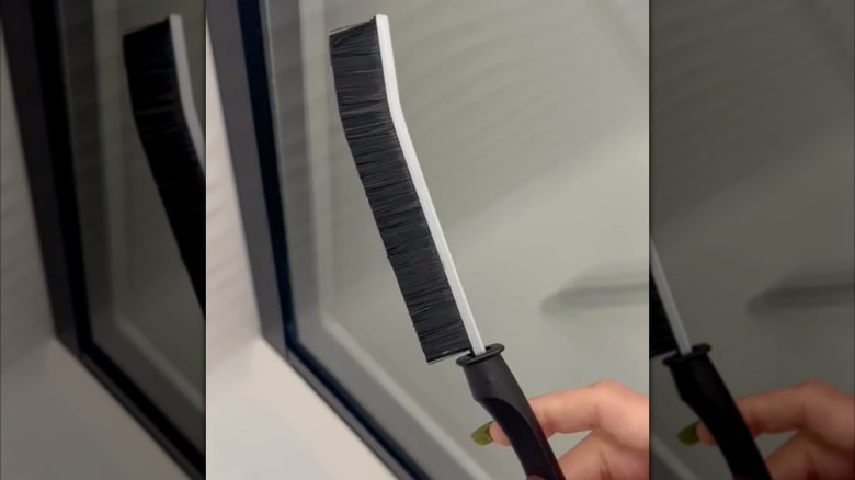 Siyah kıllara sahip uzun ve ince fırçayı gösteren videodan ekran görüntüsü