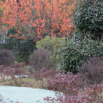 Evinizde Kendin Yap Sonbahar ve Kış Sergileri Yapmak İçin Ölen Bahçe Çiçeklerini Kullanın