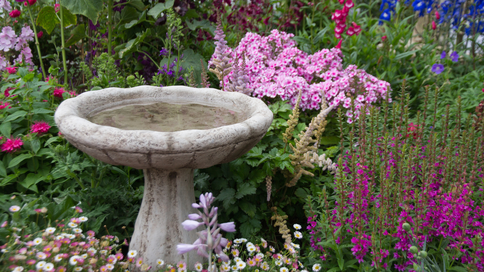 Klasik Kuş Banyolarını Unutun: Bu Kendin Yap Su Özelliği Her Bahçeye Büyü Sıçraması Katıyor