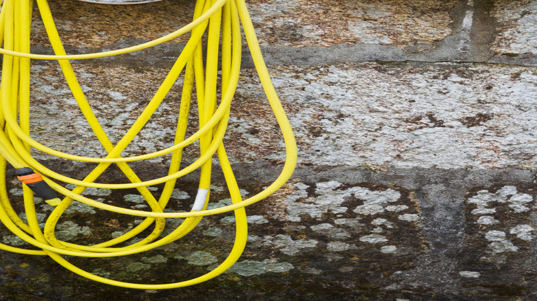 Eski bir tekerlek jantından sarkan bir su hortumu.