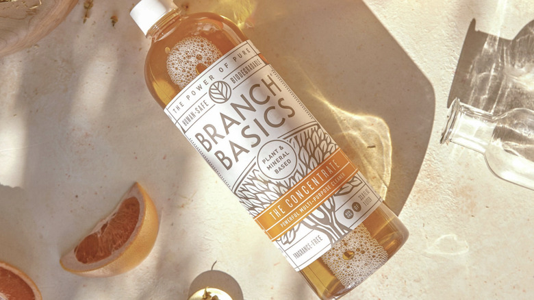 Şube Temelleri Konsantre