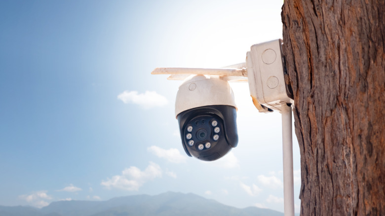 Dışarıdaki ahşap bir direğe monte edilmiş güvenlik kamerası