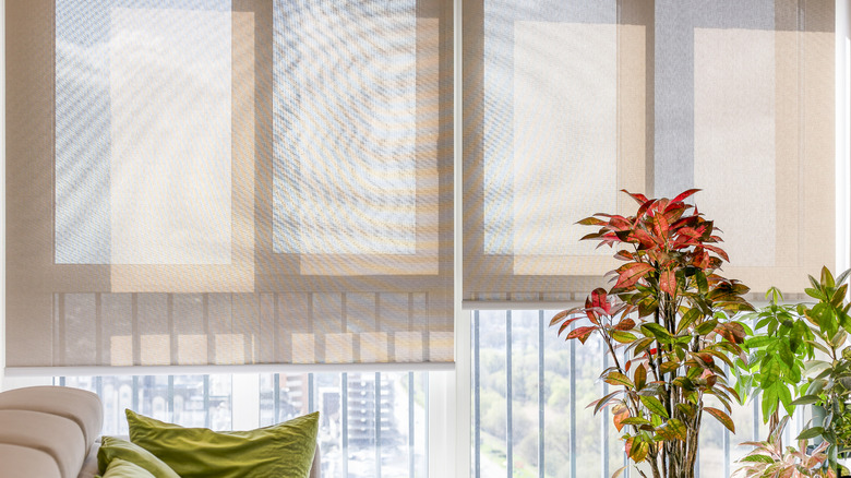 Pencereleri kaplayan bej tonlarının yakın çekimi