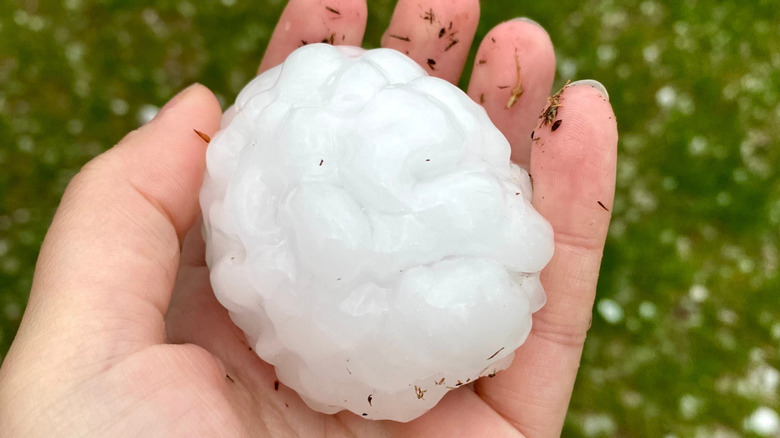Beyzbol büyüklüğünde dolu taşını tutan el