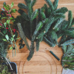 Profesyonel Bahçıvanımızın Önerdiği, Kış Tatili Dekoru İçin En İyi 10 Yaprak Dökmeyen Bitki