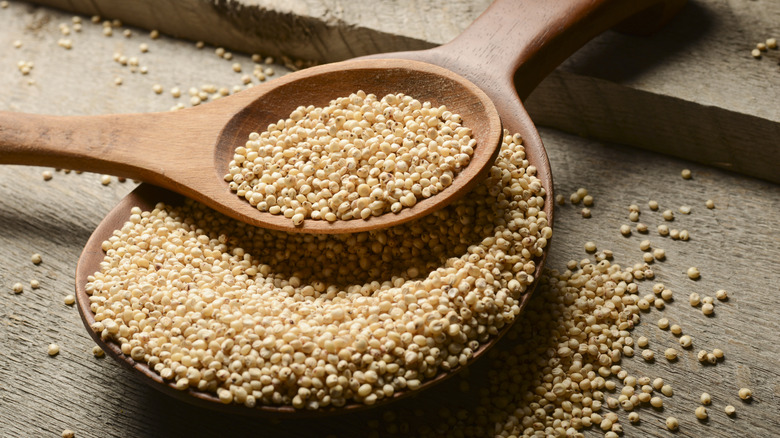 kurutulmuş sorgum tohumları