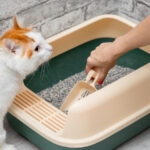 Uygun Fiyatlı Bir Mutfak Temeli Kullanarak Çöp Kutusunun Kokusunu Uzak Tutun