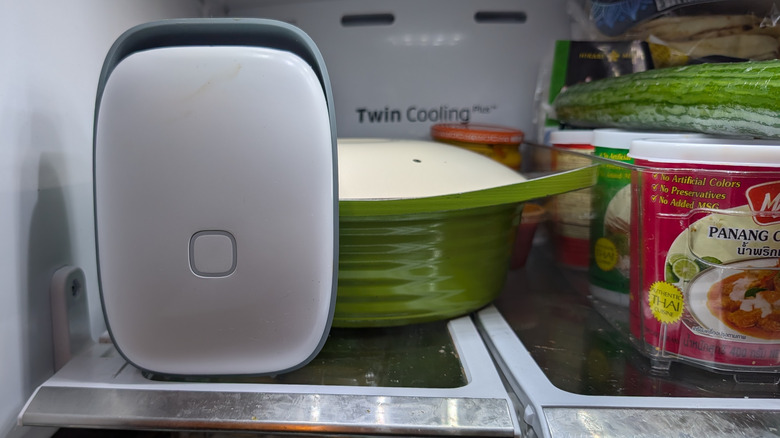 Raf, seramik köri kabının ve bir sıra Tay köri ezmesinin önünde oturuyor.