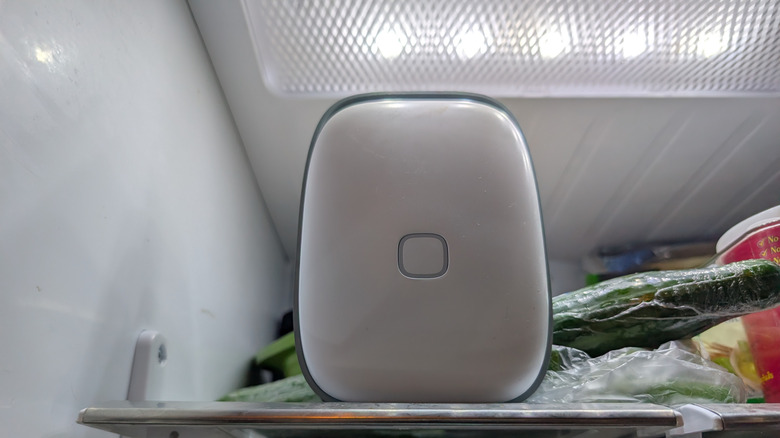 Raf buzdolabının ışığıyla aydınlatılıyor