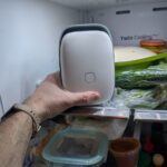 Buzdolabınız Çürük Sebzelerin Mezarlığı mı? Bir Raf Alın ve Daha Sonra Bize Teşekkür Edin