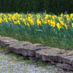 Peyzaj Kumaşı veya Sirke Değil: Bu Basit İlave Bezelye Çakılındaki Yabani Otların Önlenmesine Yardımcı Olur