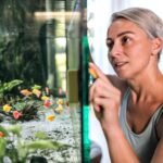 Bu DIY'ciler Vestiyerlerini Akvaryum Sergisine Dönüştürdüler ve Sonuç İnanılmaz