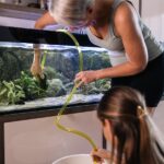 Kullanılmış Akvaryum Suyunuzu Her Zaman Saklayın, İşte Onu Seven Bitkiler