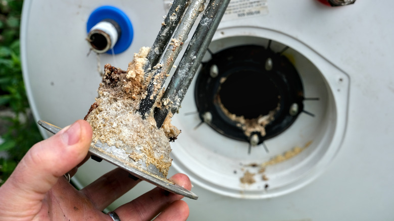 Tortuyla kaplı su ısıtıcısı ısıtma elemanı