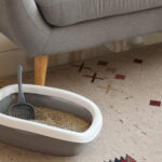 Çok Benzersiz Görünen Sanatsal Bir Kendin Yap ile Çöp Kutusunun Göze Çarpan Şeylerini Gizleyin