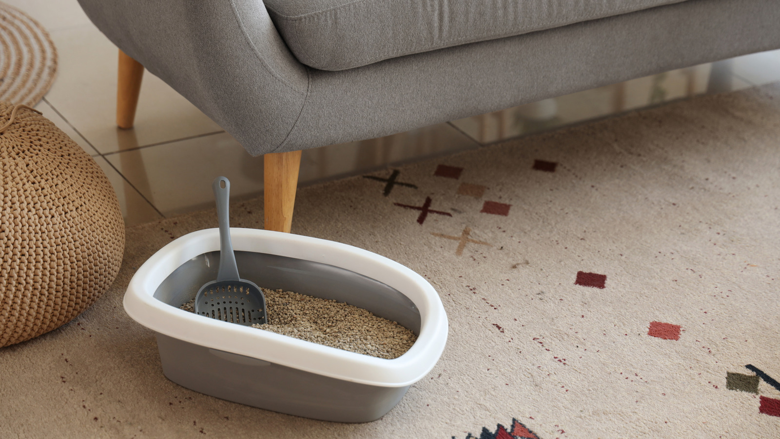 Çok Benzersiz Görünen Sanatsal Bir Kendin Yap ile Çöp Kutusunun Göze Çarpan Şeylerini Gizleyin