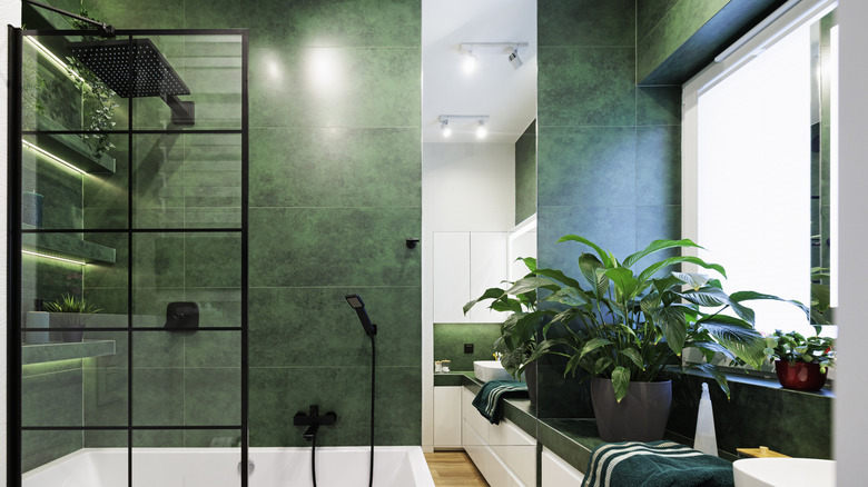 Bitkili, raflı ve duşlu yeşil fayanslı banyo