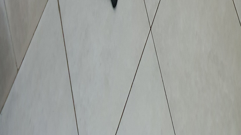 Fayans duşunun üzerinde duran yer sileceği