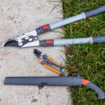 Bu Çalıyı Kışın Budamayın - Sadece Bahar Çiçeklerini Azaltır