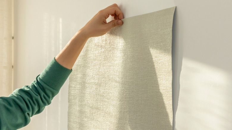Kişi, DIY vurgulu duvarı için doğru olanı seçerek, soyup yapıştırılan duvar kağıdını duvara tutar.