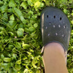 Eski Timsahları Yeniden Kullanan ve Kuşları Bahçelere Çeken Kendin Yap Yöntemi