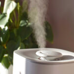 Nemlendiriciyi Asla Üzerine Koymamanız Gereken Mobilya Türü (ve Yerine Nereye Koyacağınız)