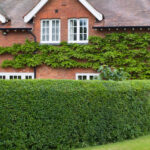 Çitlerinizin Bozulmamış Görünmesini Sağlayacak Yeni Dewalt Aletleri 2026'da Geliyor