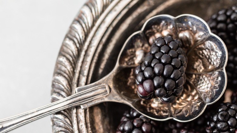 Böğürtlen kaşıklayan vintage bir kaşık