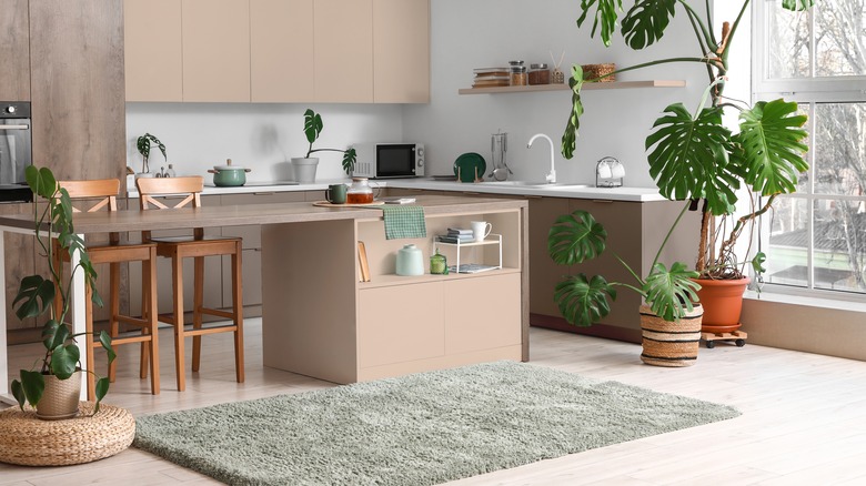 Kabarık adaçayı yeşili halıyla donatılmış mutfak