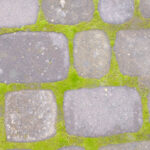 Yosunlu Araba Yolu Döşemeleriyle Mücadeleye Yardımcı Olacak 8 Harika Tüyo