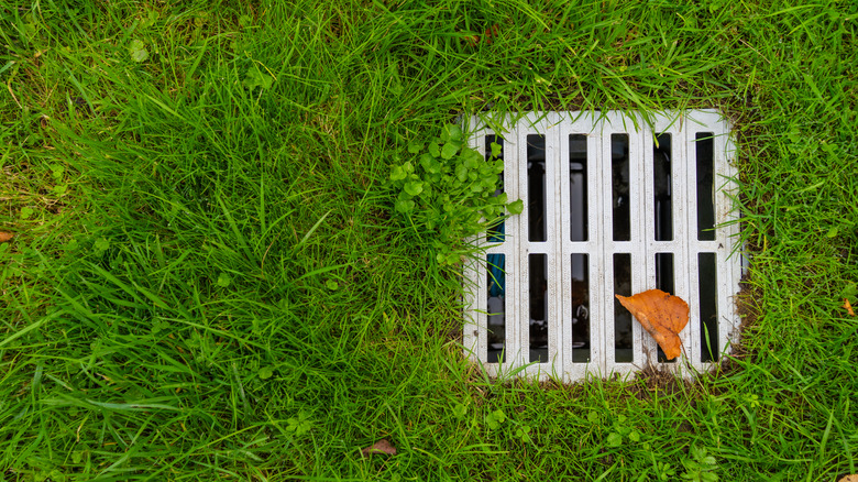 Bir bahçedeki yağmur drenajı