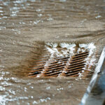 Fırtına Kanalizasyonları: Mülkünüzdeyken Bakımdan Kim Sorumludur?