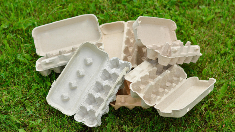 çimlerin üzerinde yatan yumurta kartonu