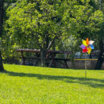 Zararlıları Korkutmak İçin Kendi Bahçenizdeki Fırıldakları Nasıl Yapabilirsiniz?