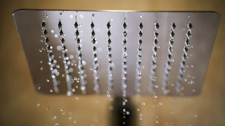 Yağmur duş başlığı