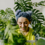 Çok Aranan, Bakımı Kolay Monstera Bitki Çeşitleri